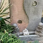 Tal Jordan Tranquil Escape