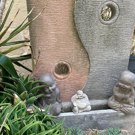 Tal Jordan Tranquil Escape